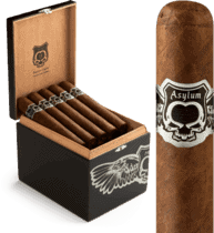 ASYLUM NYCTOPHILIA MADURO 70X7 SINGLE