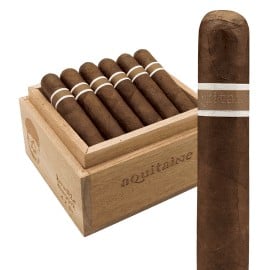 AQUITAINE ANTHROPOLOGY SINGLE