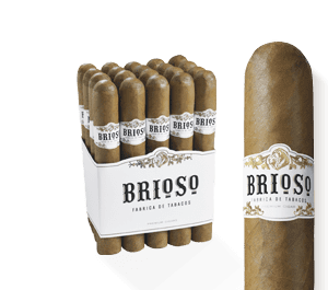 BRIOSO GIGANTE 6X60 BOX