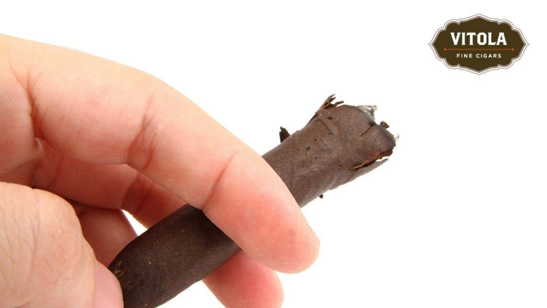 Frayed Cigar