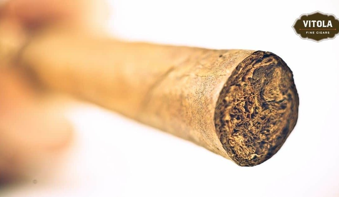 How To Tell If Your Cigar Is Fresh