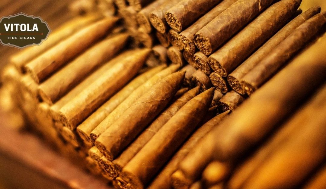Storing Your Cigars