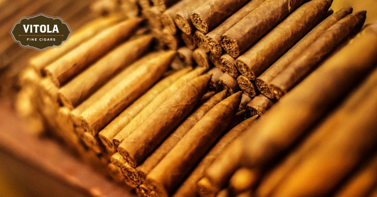 How To Store Your Cigars Vitola Fine Cigars