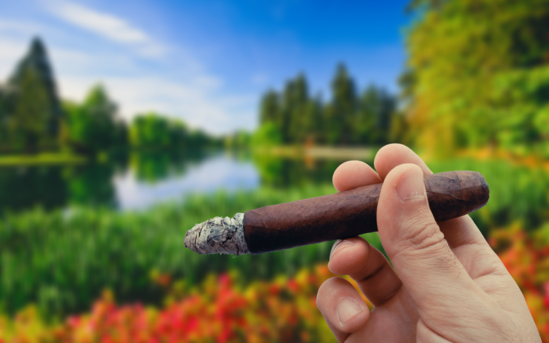 The Best Cigars For Spring