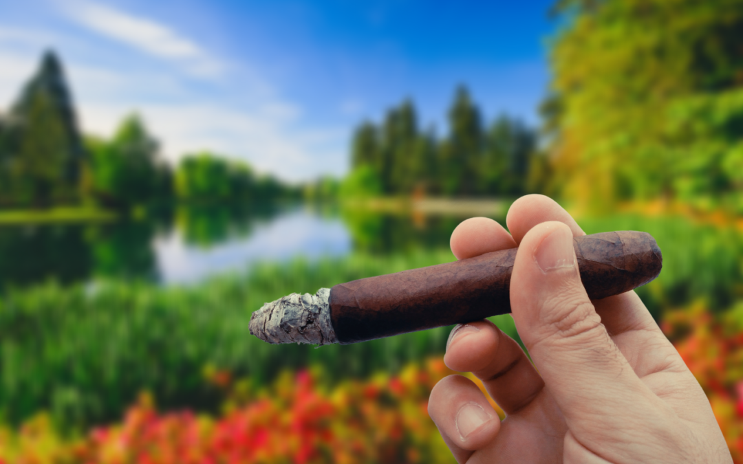 The Best Cigars for Spring