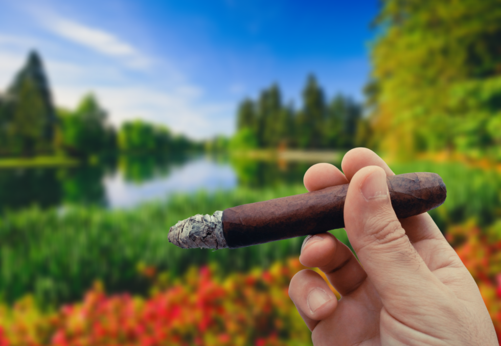 The Best Cigars For Spring VITOLA FINE CIGARS